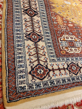 Load image into Gallery viewer, Vintage Hand Knotted Pakistani Rug (4'3" x 6'7")